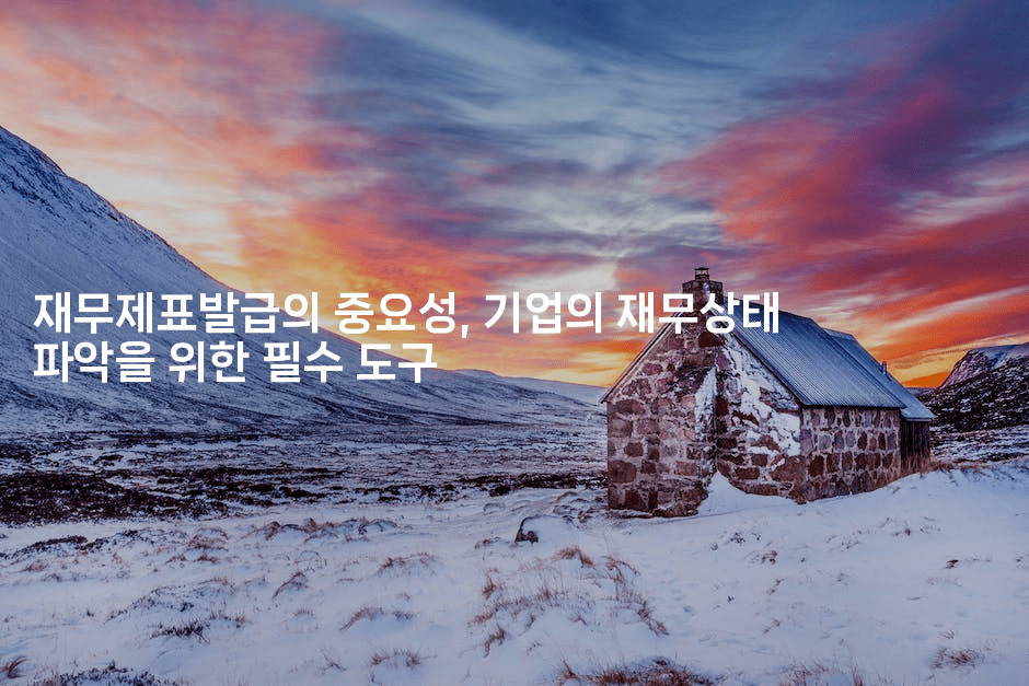 재무제표발급의 중요성, 기업의 재무상태 파악을 위한 필수 도구2-절세왕