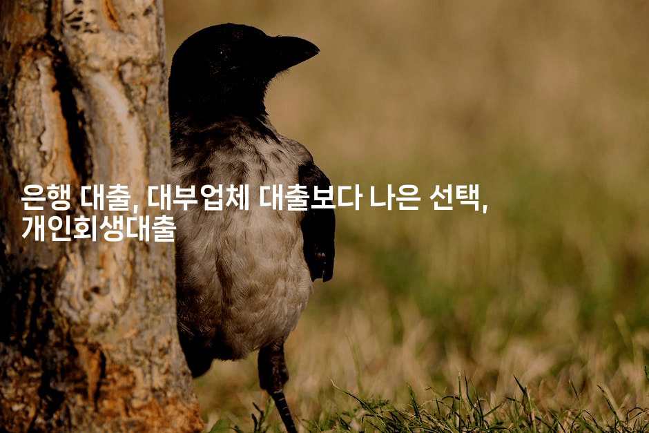 은행 대출, 대부업체 대출보다 나은 선택, 개인회생대출-절세왕