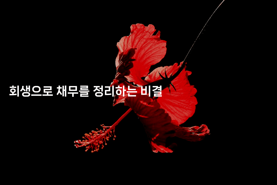 회생으로 채무를 정리하는 비결-절세왕