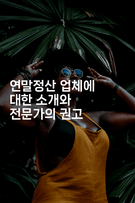 연말정산 업체에 대한 소개와 전문가의 권고-절세왕