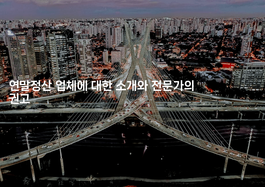 연말정산 업체에 대한 소개와 전문가의 권고2-절세왕