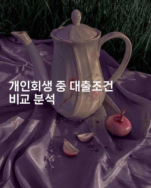 개인회생 중 대출조건 비교 분석-절세왕