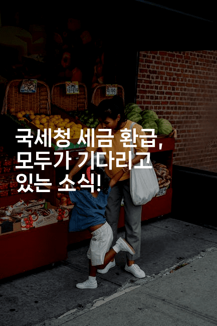 국세청 세금 환급, 모두가 기다리고 있는 소식!-절세왕