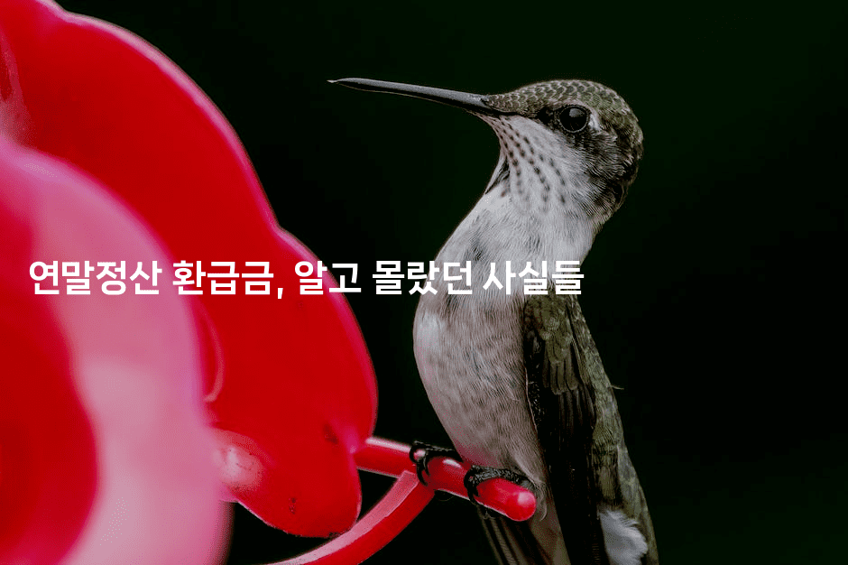 연말정산 환급금, 알고 몰랐던 사실들 2-절세왕