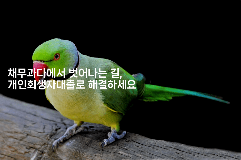 채무과다에서 벗어나는 길, 개인회생자대출로 해결하세요-절세왕