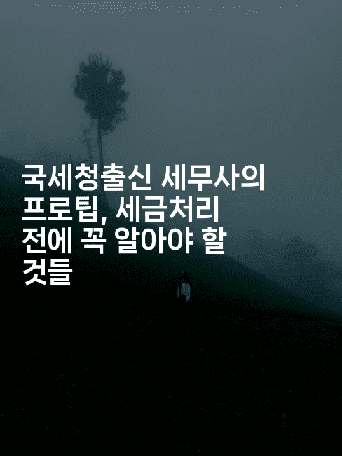 국세청출신 세무사의 프로팁, 세금처리 전에 꼭 알아야 할 것들2-절세왕