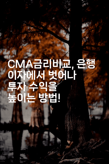 CMA금리비교, 은행 이자에서 벗어나 투자 수익을 높이는 방법!-절세왕