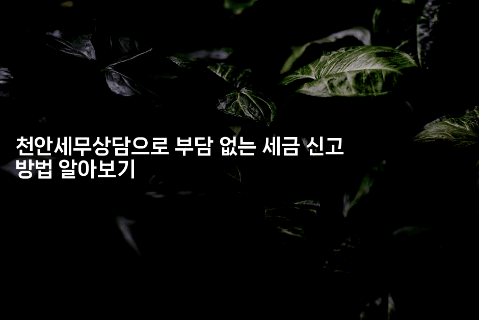 천안세무상담으로 부담 없는 세금 신고 방법 알아보기-절세왕