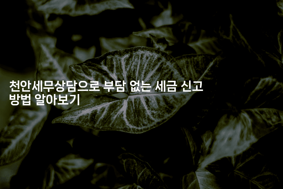 천안세무상담으로 부담 없는 세금 신고 방법 알아보기2-절세왕