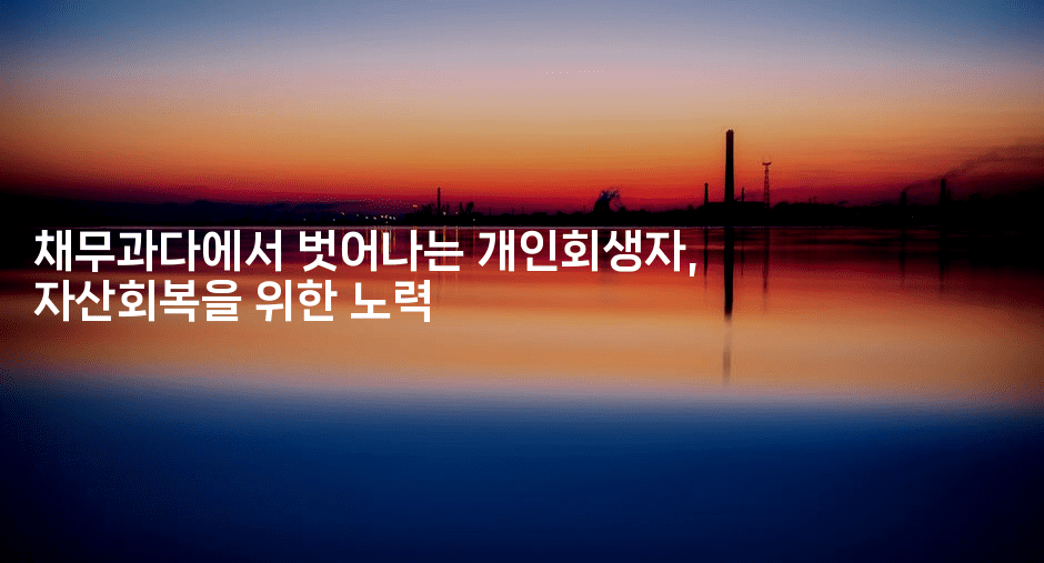 채무과다에서 벗어나는 개인회생자, 자산회복을 위한 노력-절세왕